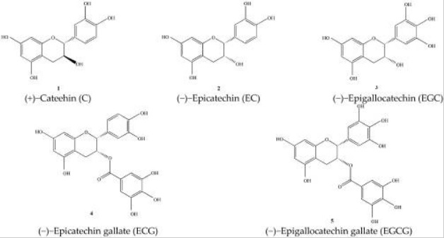 Katechiny Wzory chemiczne katechin występujących w zielonej herbacie